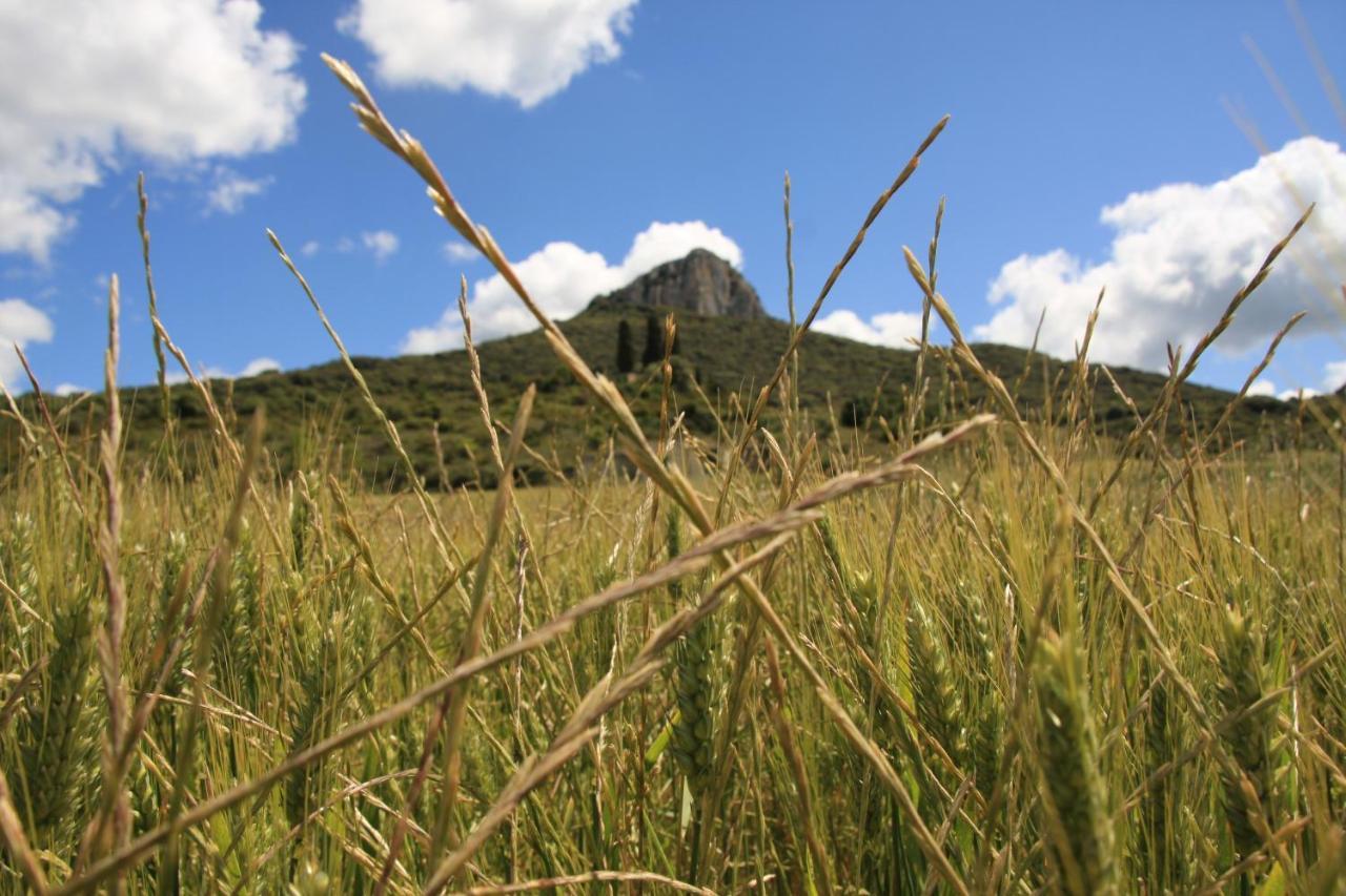 Casa Rural Ezkonberri Unzue エクステリア 写真